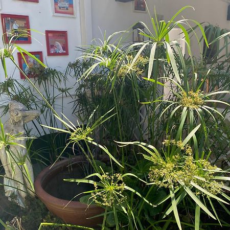 פריס Silver Linings Guesthouse מראה חיצוני תמונה
